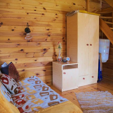 Agroturystyka Pod Jesionem2 Władysławowo Exterior foto